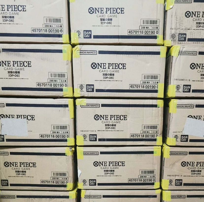 OP-06 case