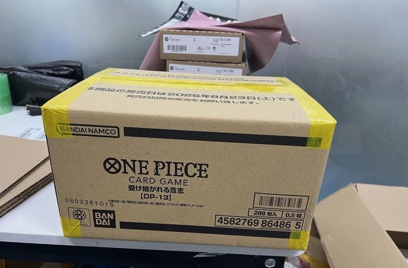 OP-13 case